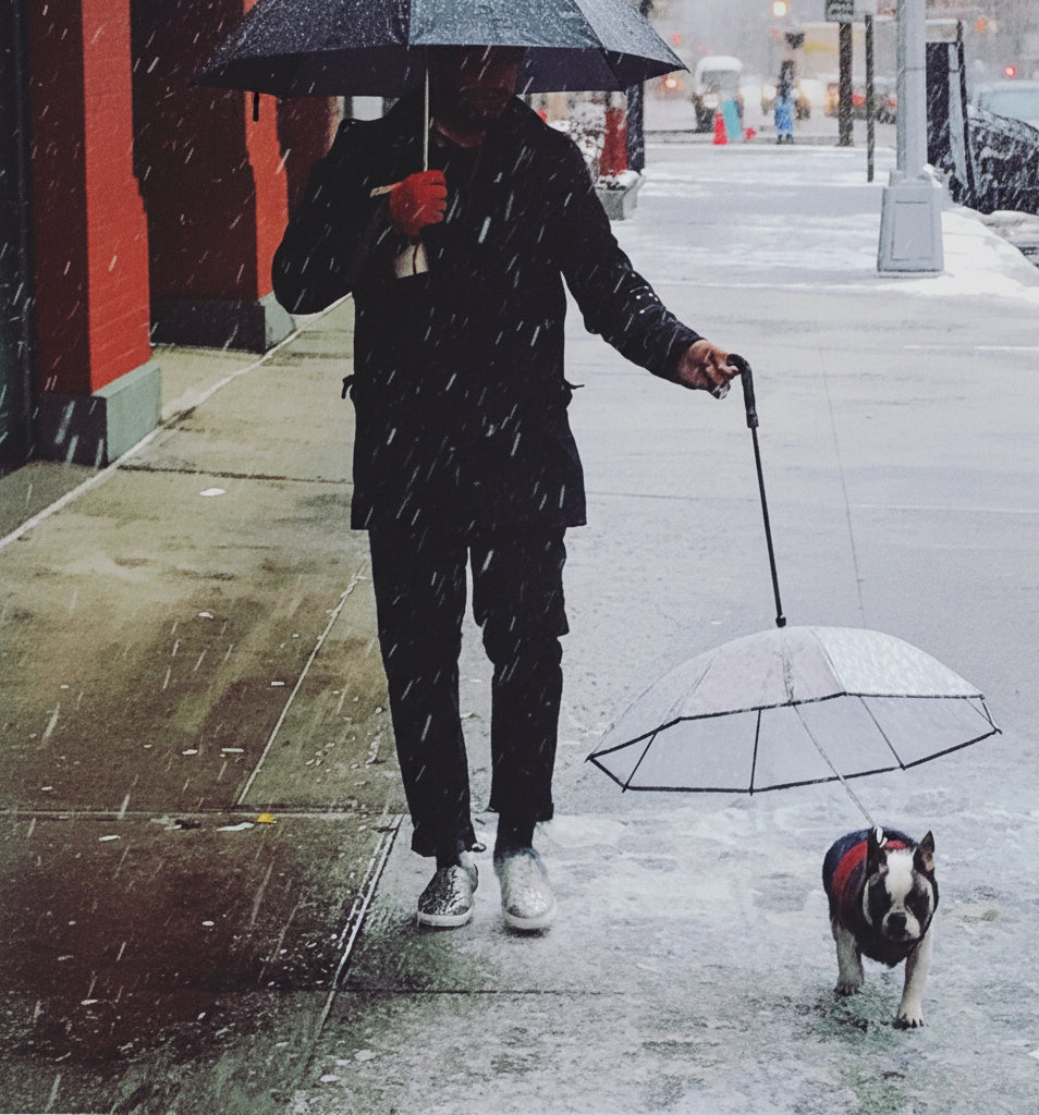 Parapluie Transparent pour Chiens, Animaux de Compagnie et Accessoires