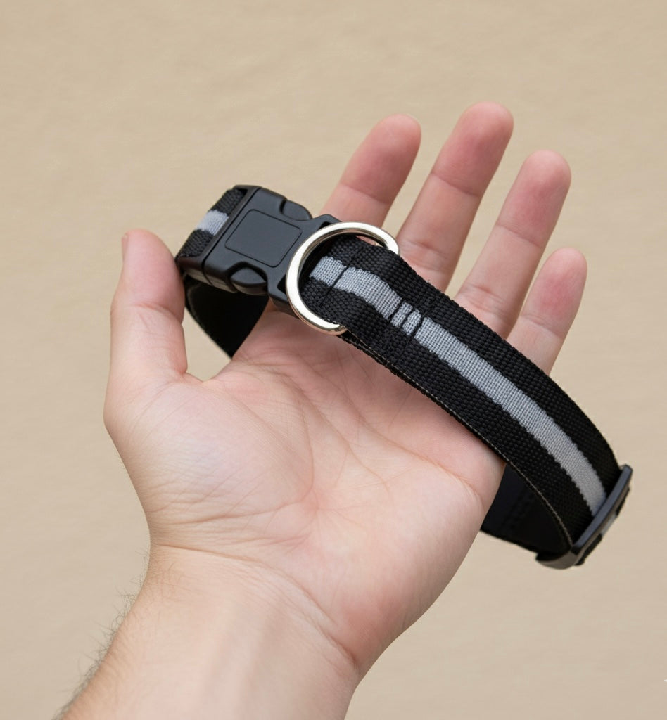 Collier de Sécurité LED pour Animaux MontroPet