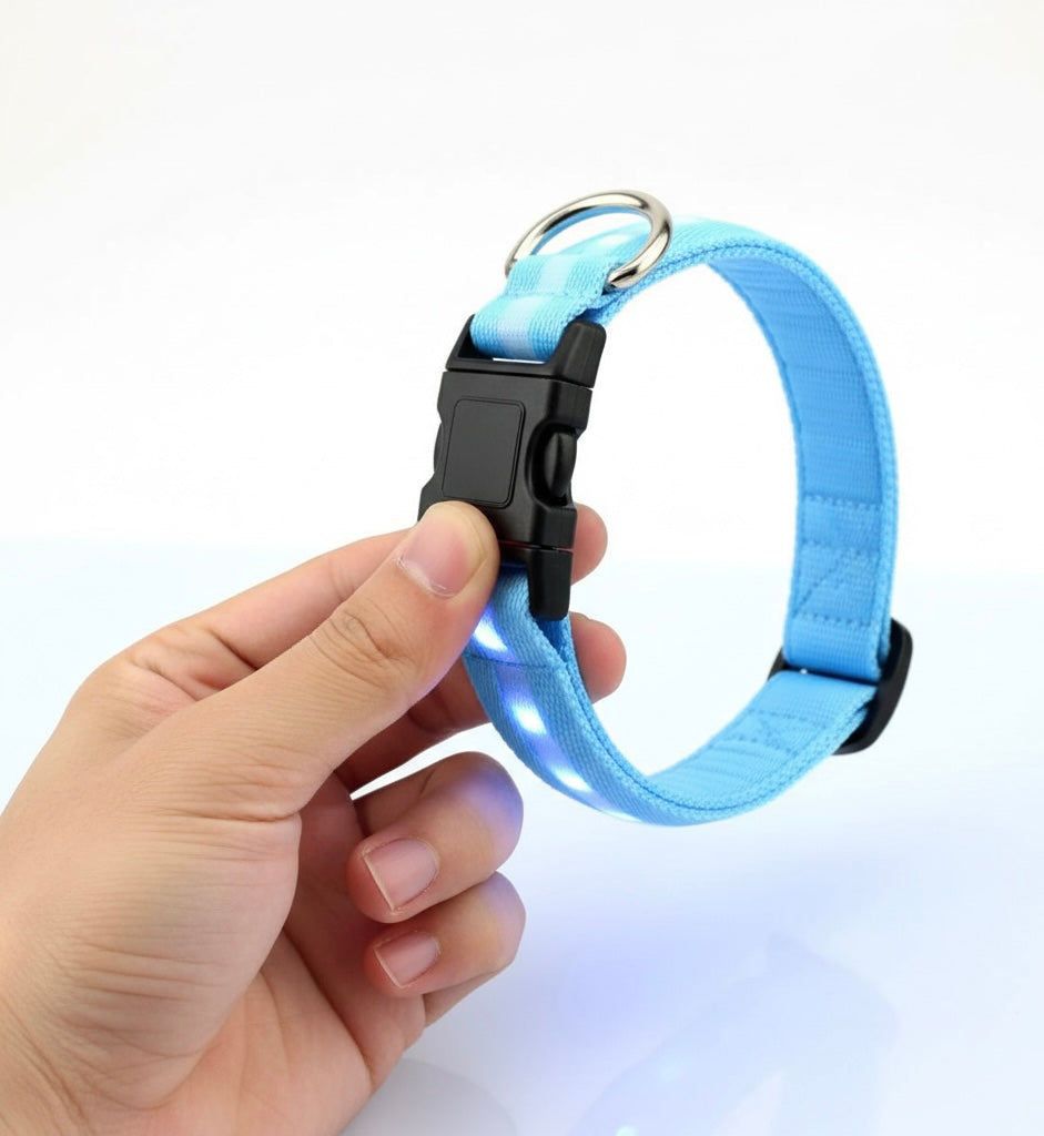 Collier de Sécurité LED pour Animaux MontroPet