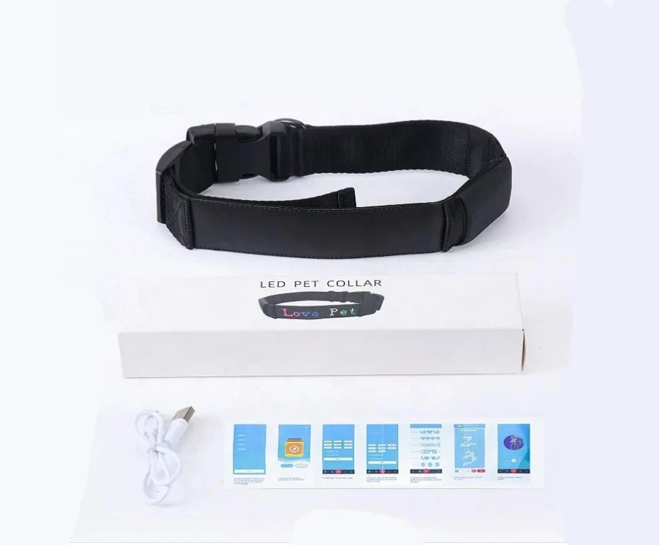 Collier pour Chiens Anti-Perte Rechargeable MontroPet