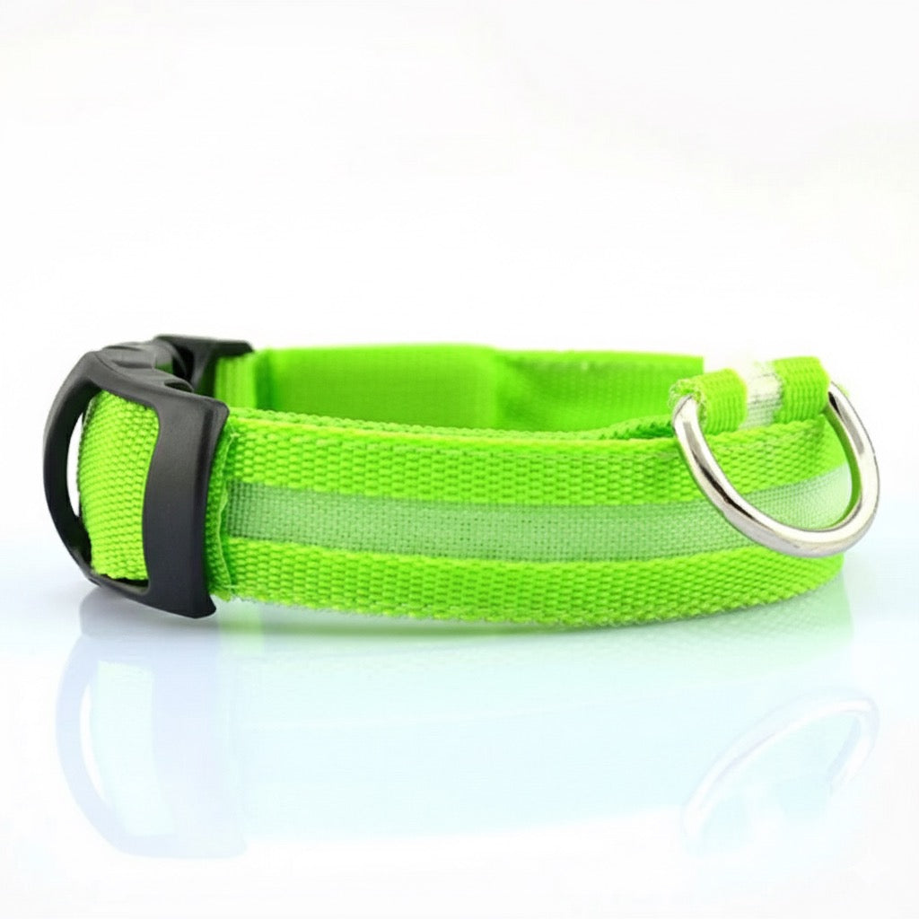Collier de Sécurité LED pour Animaux MontroPet