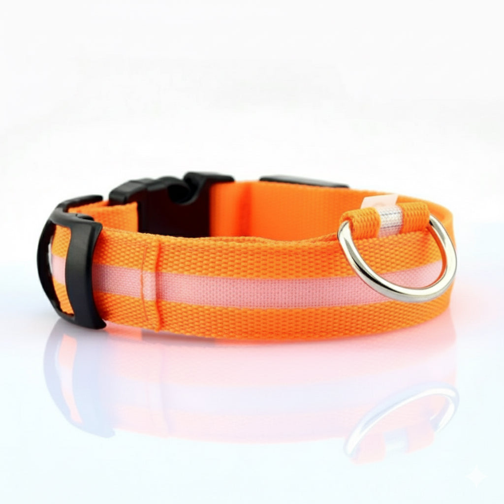 Collier de Sécurité LED pour Animaux MontroPet