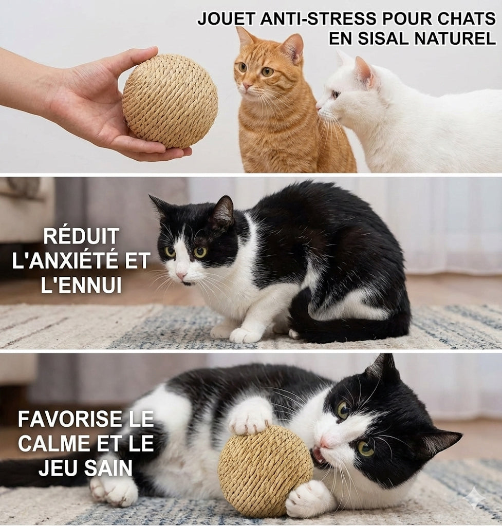 Balle Sisal XXL Anti-Stress Chat | Griffoir Naturel | STOP Meubles Détruits | Jeu Autonome