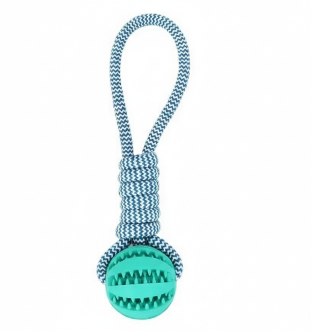 Jouet Chien Corde et Boule Caoutchouc 25cm - Nettoyage Dentaire & Jeu Résistant